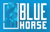 BlueHorse Software Solution Pvt Ltd Logo