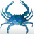 Blue Crab Connect Logo