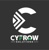 CYFROW SOLUTIONS Logo
