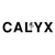 Calyx Design Group Landscape Architecture Logo