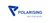Polarising Logo