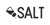 SALT Sales Logo