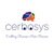 Cerbosys Technologies Logo
