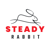 Steady Rabbit Technology Logo