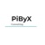 PiByX Consulting Logo