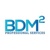 BDM Squared Professional Services Logo
