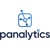 Panalytics Research Group Logo