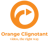 Orange Clignotant Logo