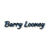 BarryLooney.com Logo