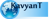 Kavyant Technologies Logo