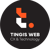 Tingis Web a customer experience (CX) agency: software development and digital marketing 💻🚀 Logo