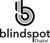 Blindspot Digital Logo