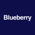 Blueberry Tech Logo