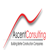 Ascent Consulting, Inc. Logo