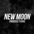 New Moon Productions Logo