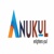 Anukul Infosystems India LLP Logo