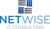 NetWise IT Consulting LLC Logo
