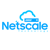 Netscale Technology LLC Logo