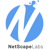 Netscape Labs Logo