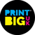 Print BiG UK Logo