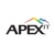 Apex IT Logo