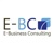 E-Business Consulting Logo