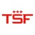 Triple Star Fire and Security Logotype