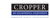Cropper Accountancy Corporation Logo