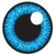 Global Digital Forensics Logotype