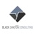 Black Canyon Consulting LLC Logo