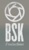 Bluesky Productions Logo