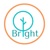 Bright Island Communications Logotype
