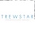 Trewstar Corporate Board Services Logo