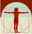 Human Factor, LLC Logo