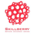 Skillberry Logo