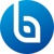 Beyond Original LLC Logo