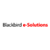 Blackbird e-Solutions LLC Logo