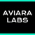 Aviara Labs - AI Consulting Company Logo