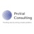 ProVal Consulting Logo