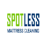 Spotless Mattress Cleaning Logo