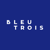 Bleu 3 Logo