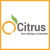 Citrus Consulting Services Logo