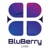 Bluberry Labs LLC Logo