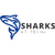 Provider Logotype Sharks At Tech Logo