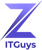 ZITGUYS sarl Logo