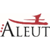 Aleut Information Technology, LLC Logo