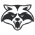 Raccoon Soft Logo