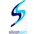 Silicon Spirit Consulting Group, Inc. Logo