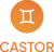 Castor Development Outsourcing Logo