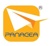 Panacea IT Infrastructure LLC Logo